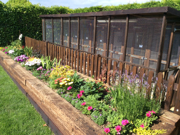 Cattery West Sussex