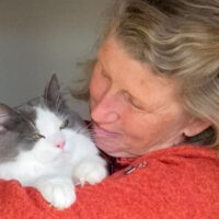 Valley View Cattery