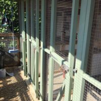 New Exterior Barriers to Cattery